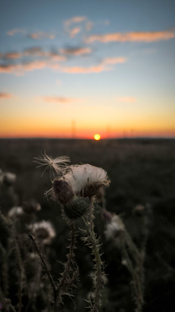 September sunset.