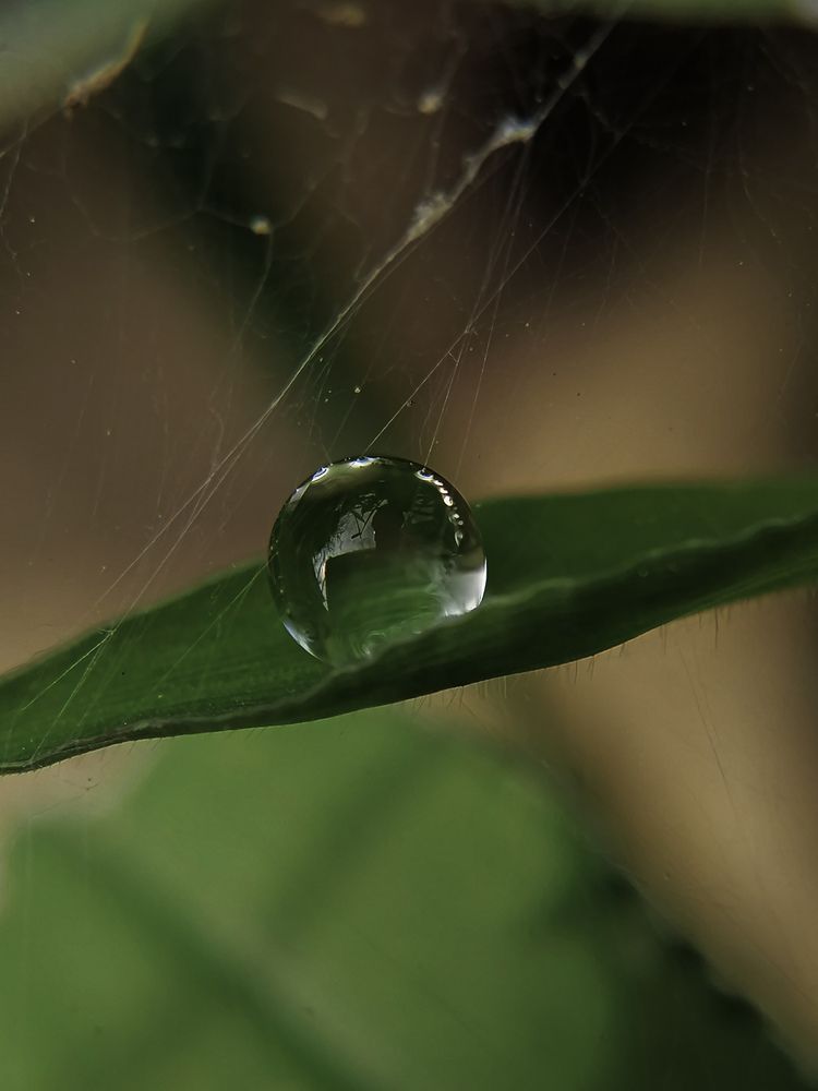 Photograph by Наталия Соболева