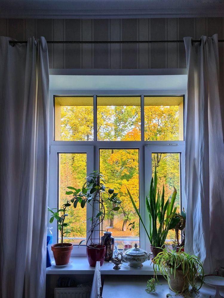 Photograph by Екатерина Народицкая
