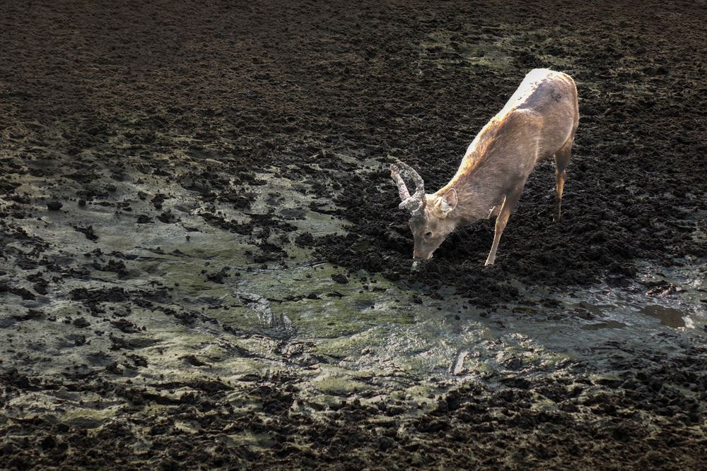Photograph by Vy Van Bui