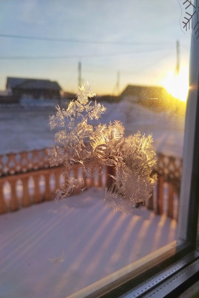 Photograph by Ольга Шангареева