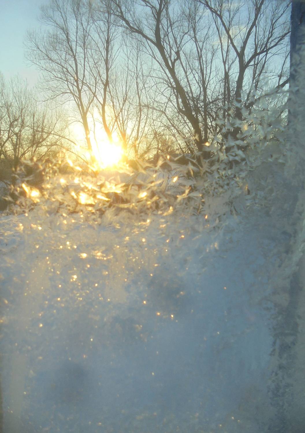 Photo #13553021