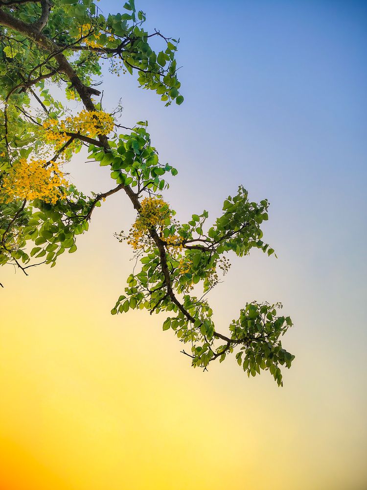 Photograph by Arif Ishtiaque