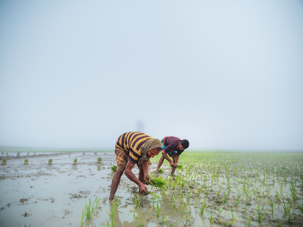 Photograph by Arif Ishtiaque
