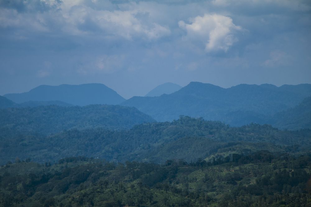 Photograph by Glorius Delima