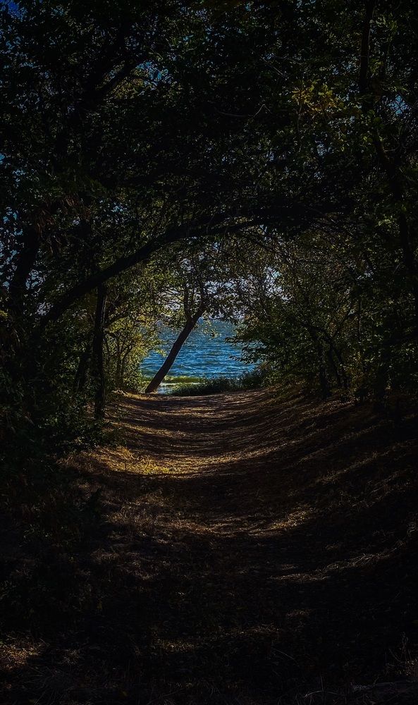 Photograph by Светлана Гуторова