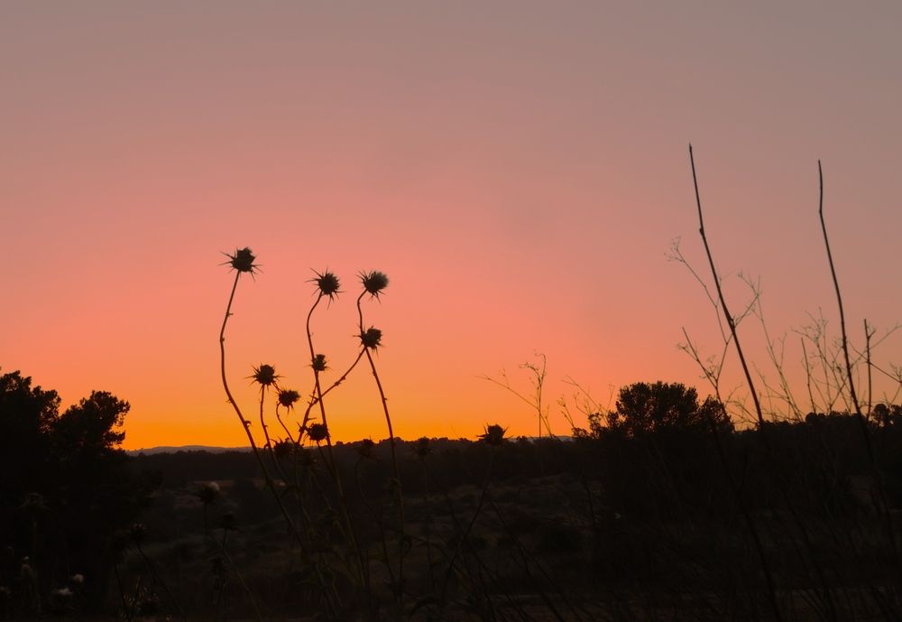 Photograph by Merav Zuberman Perkal