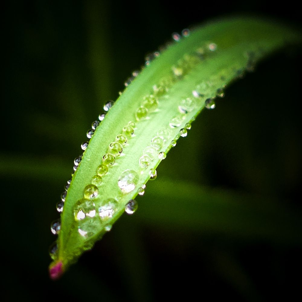 Photograph by Ксения Широкова