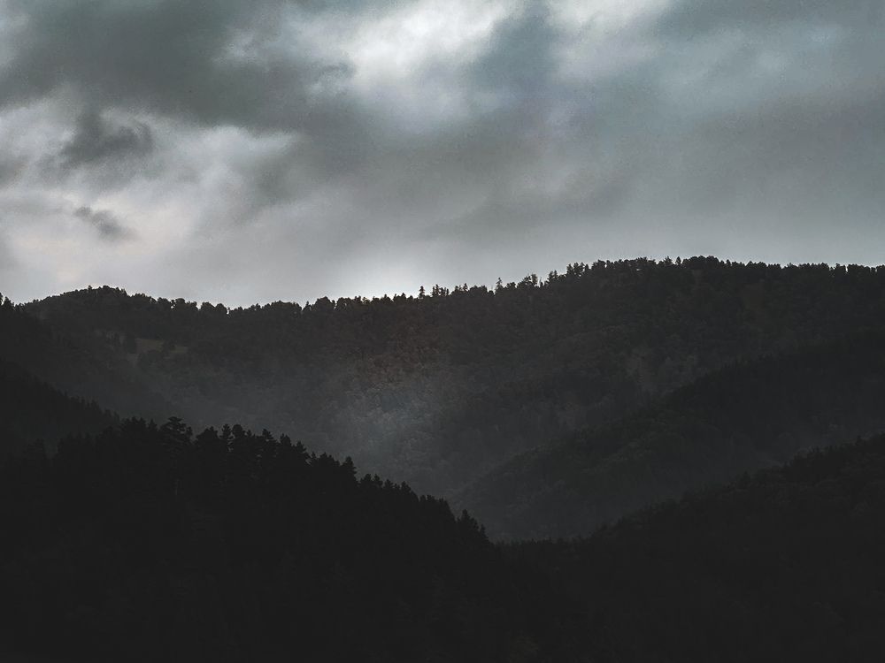 Фотография автора Бороздина Мария