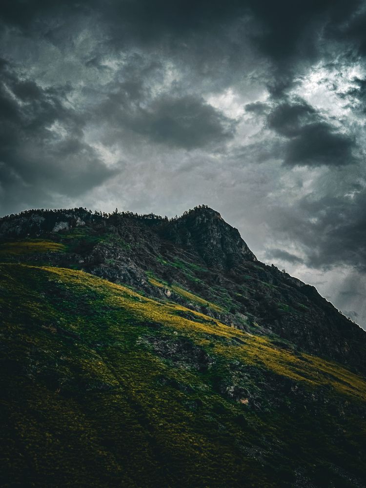 Фотография автора Бороздина Мария