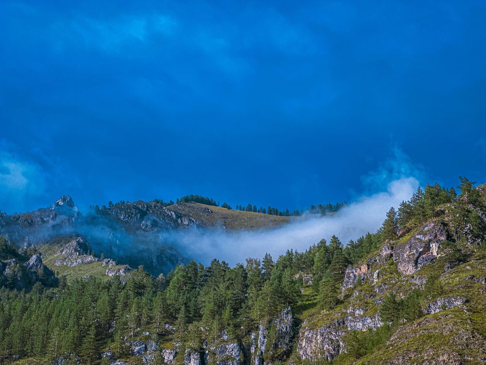 Фотография автора Бороздина Мария