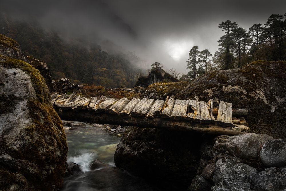 Photograph by guntis