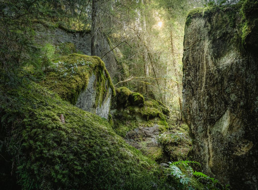 Photograph by guntis zebergs