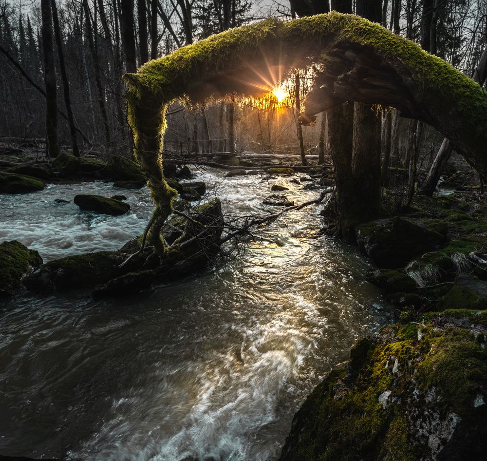 Photograph by guntis