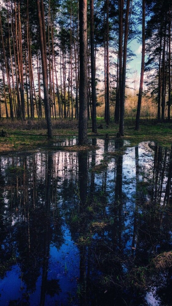 Фотография автора Людмила Горячева