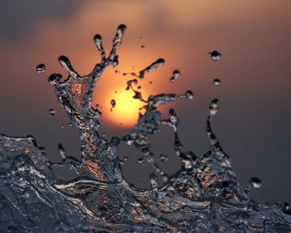 Photograph by Washiful Majid