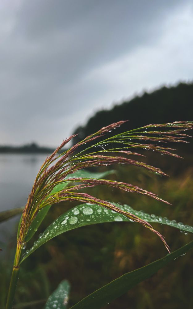Photograph by Татьяна Петрова