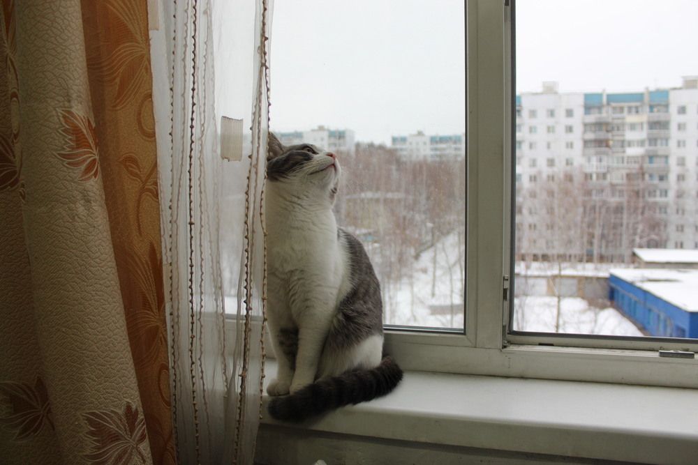 Photograph by Михаил Мархинин