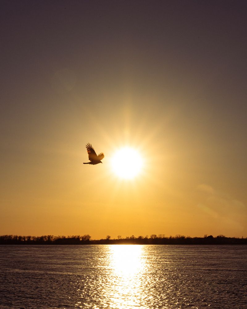Photograph by Anna Chistiakova