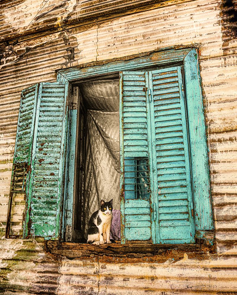 Photograph by Viviana García