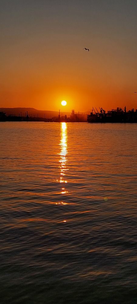 Photograph by Марина Жарикова