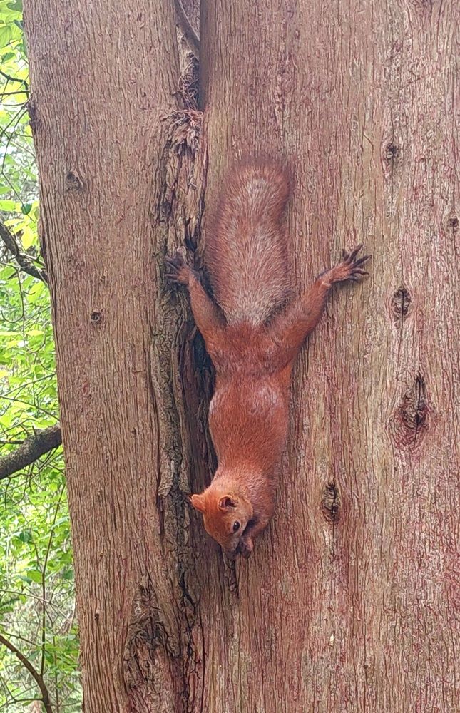 Photograph by Марина Жарикова