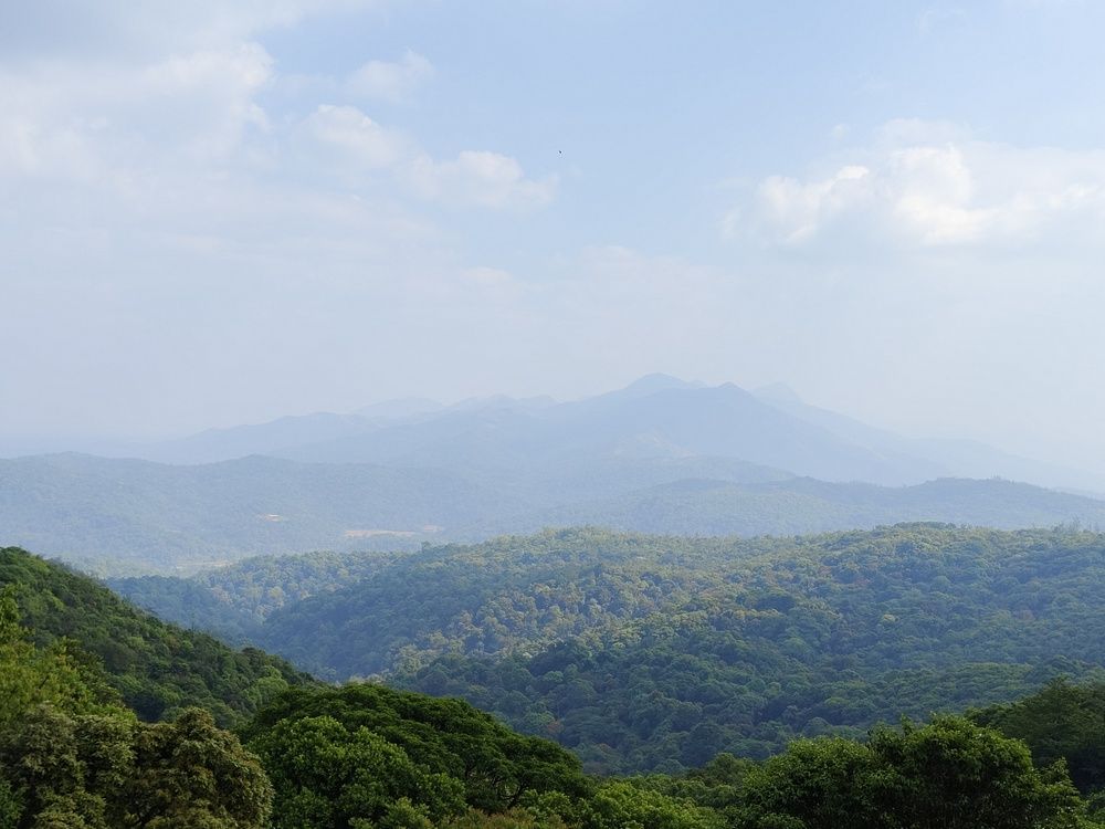 Photograph by Sattanurupa Samadder
