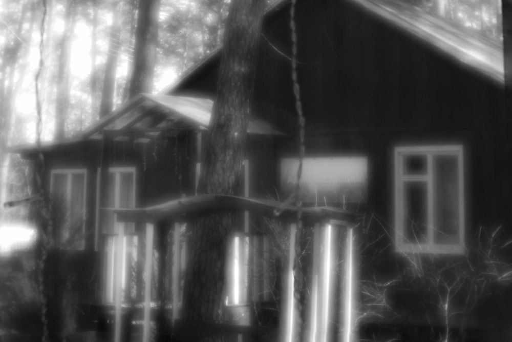 Photograph by Инна Карасева
