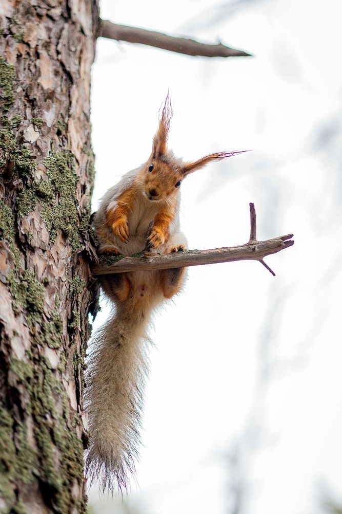 Photograph by Алексей Баранов