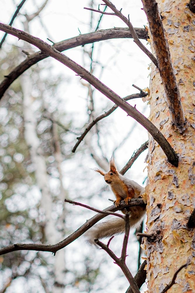 Photograph by Алексей Баранов