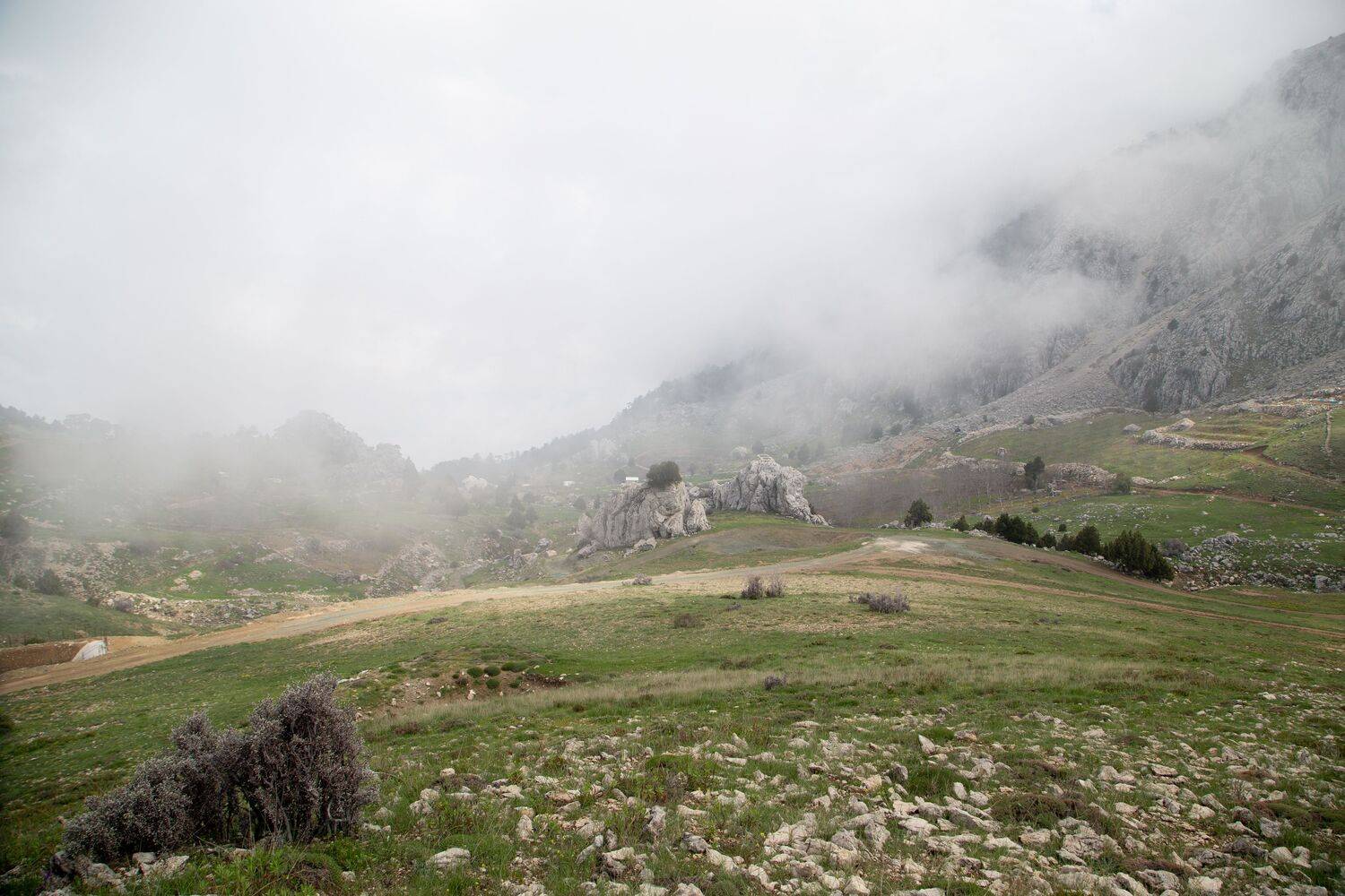 Photo #13553882