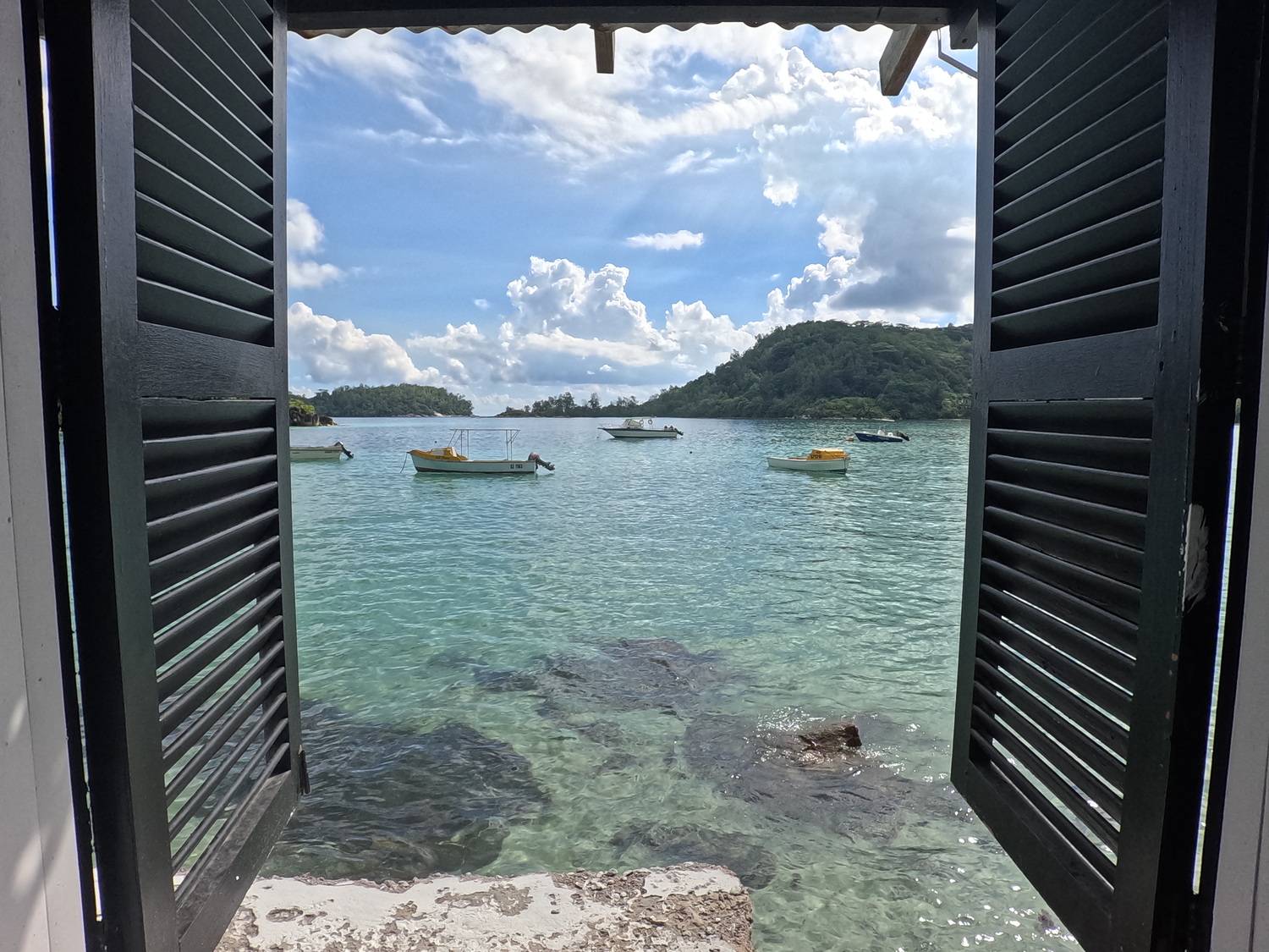 Window with a view