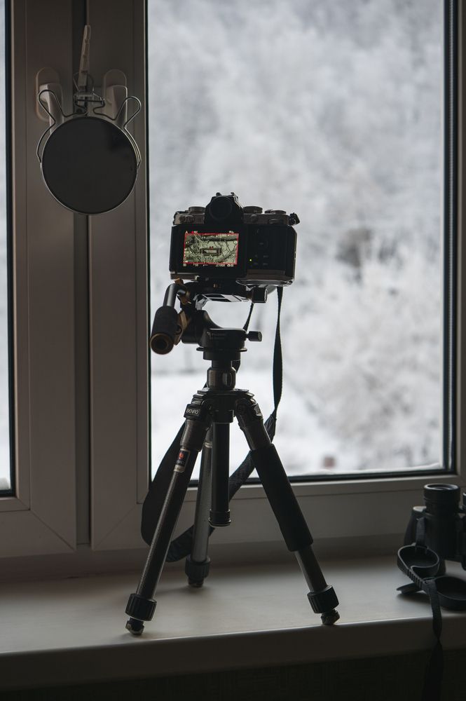 Photograph by Андрей Бородкин