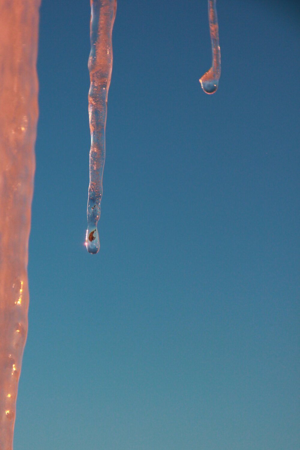 Photo #13553930