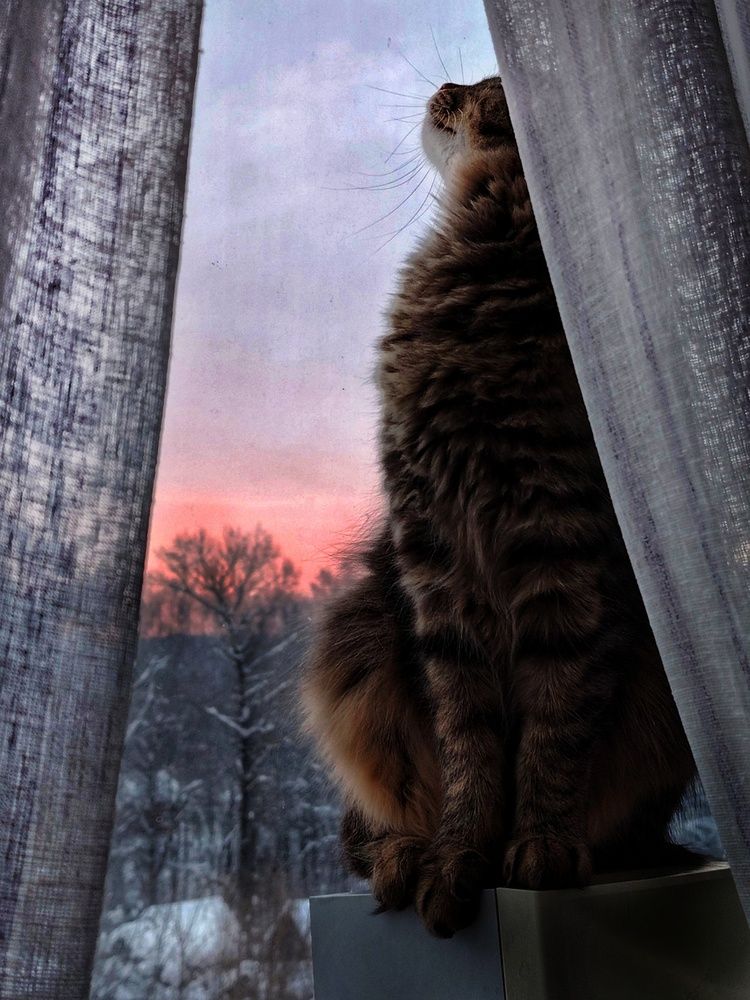 Photo #13553961