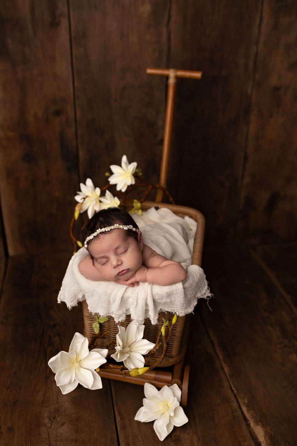 Photo #13553962