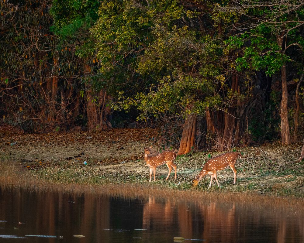 Photograph by JAGADESH RAJENDRAPRASAD