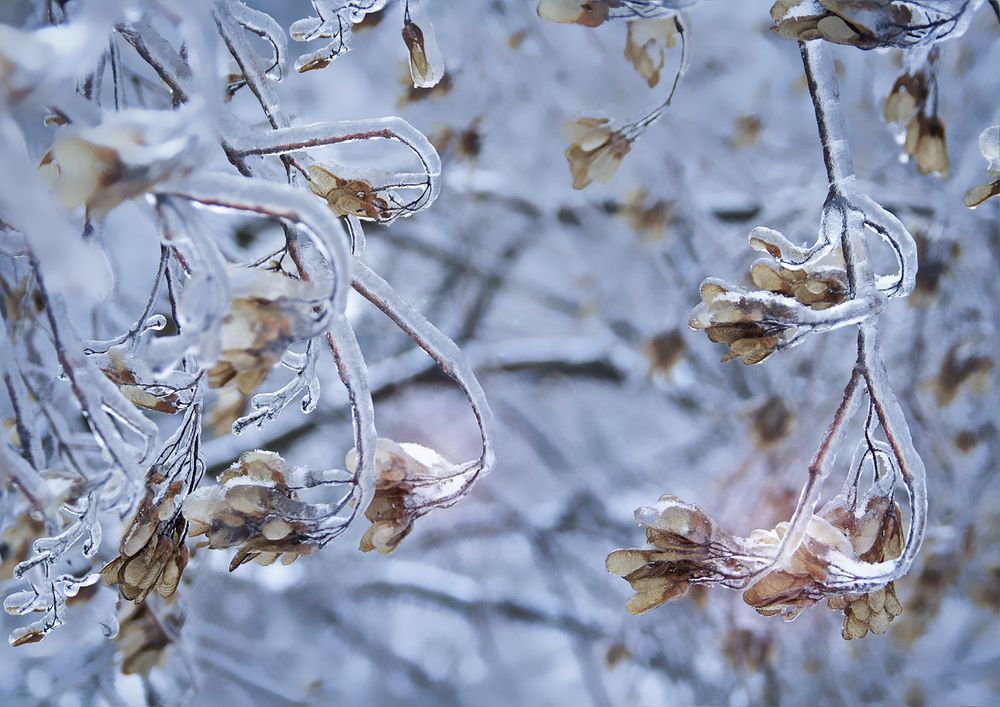 Photograph by Елена Григорович