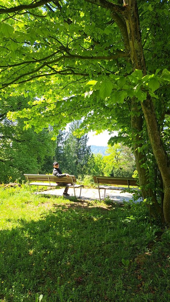 Photo #13554058