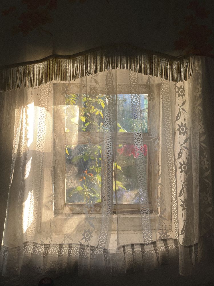 Фотография автора Регина Габдулхаева