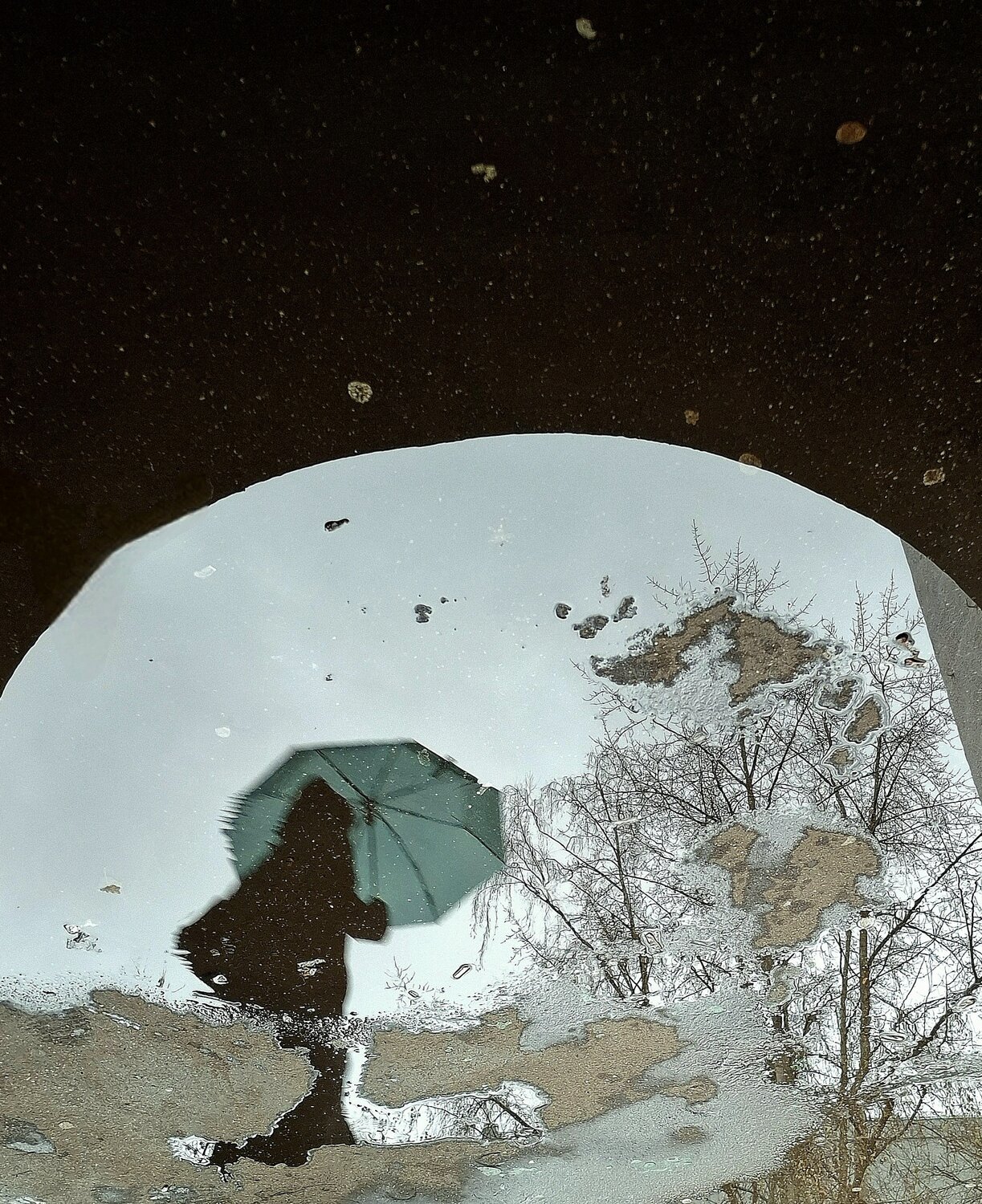 Photo #13554087