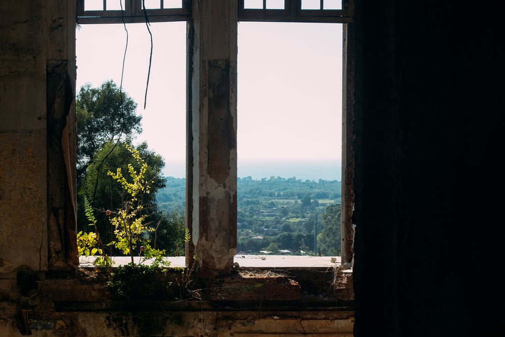 Photo #13554111
