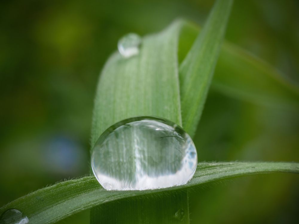Photograph by Pucs Fongabe