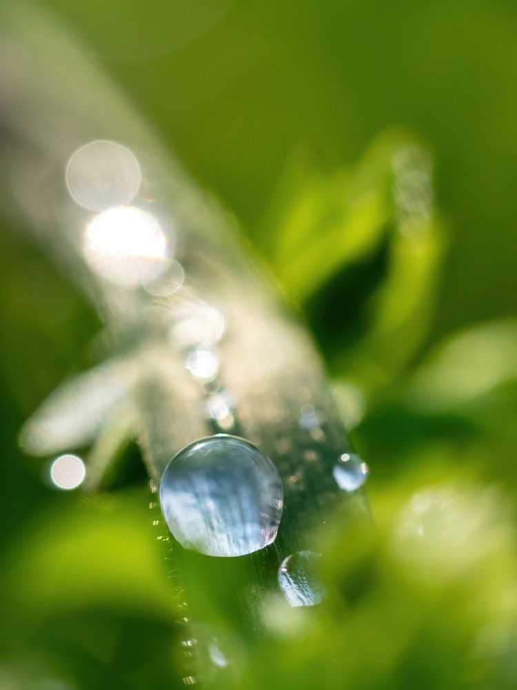 Photograph by Pucs Fongabe