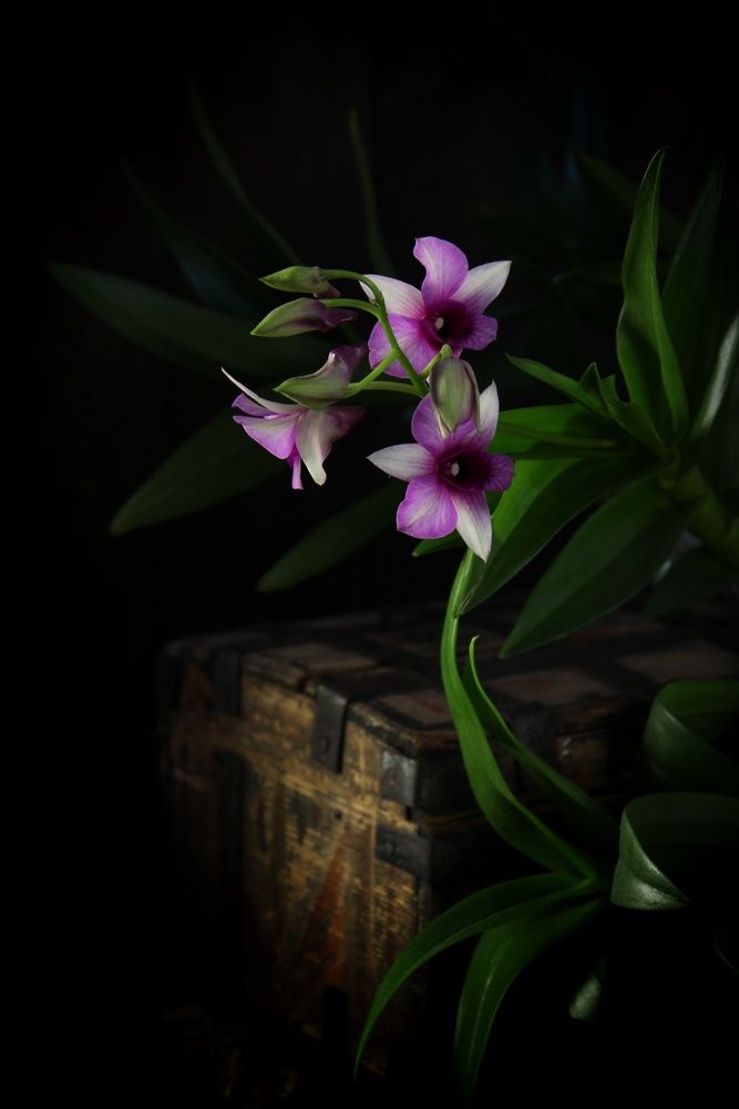 Photograph by Татьяна Орехова