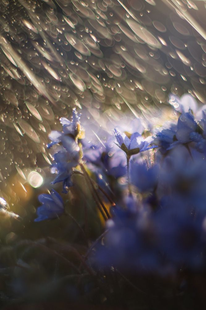 Photograph by Николай Захаров