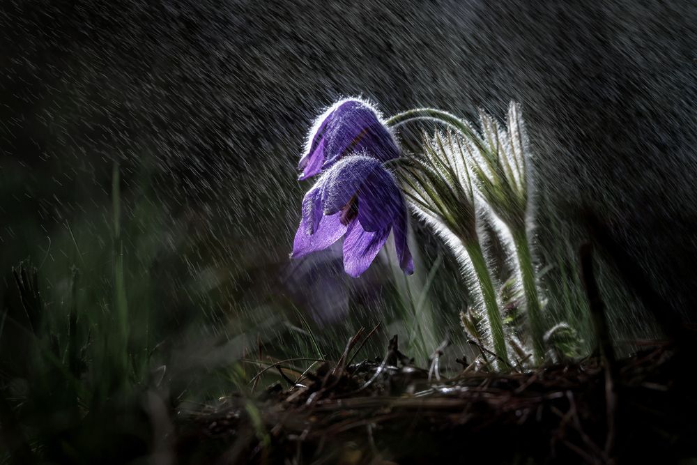 Photograph by Елена Соколова
