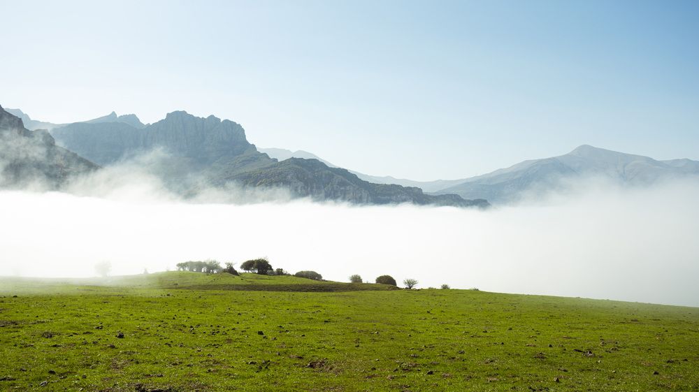 Photo #13554750