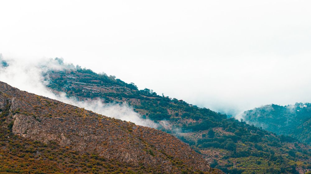 Photograph by Parsa Mohammadinejad