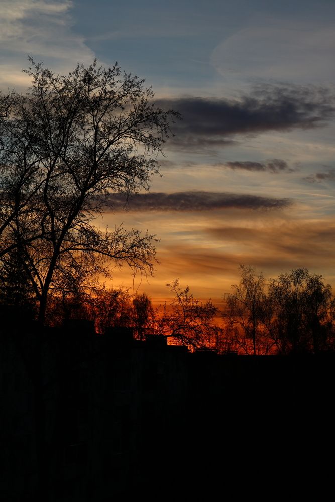 Photograph by Светлана Шуткова